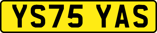 YS75YAS