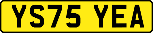 YS75YEA