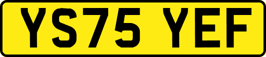 YS75YEF