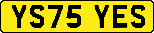 YS75YES