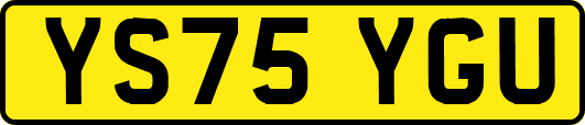 YS75YGU