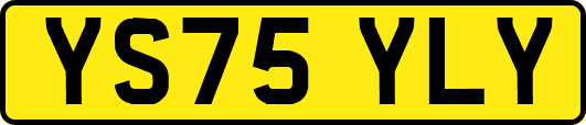 YS75YLY