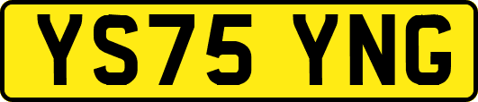 YS75YNG
