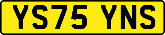 YS75YNS
