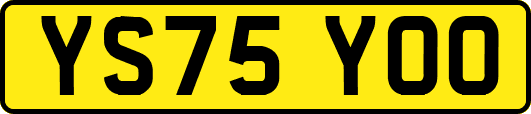 YS75YOO