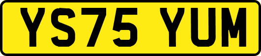 YS75YUM