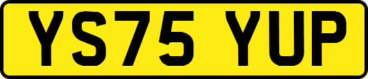YS75YUP