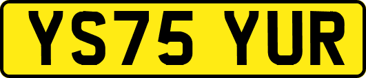 YS75YUR