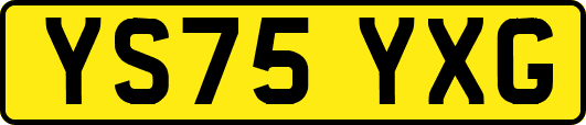 YS75YXG