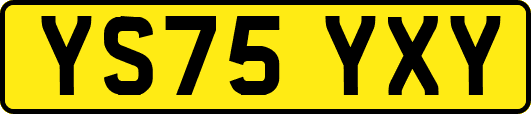 YS75YXY