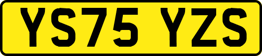 YS75YZS