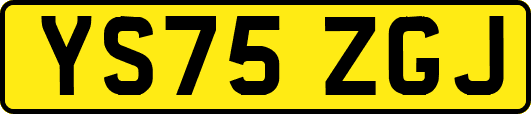 YS75ZGJ