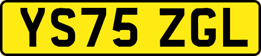 YS75ZGL