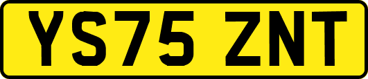 YS75ZNT
