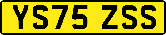 YS75ZSS