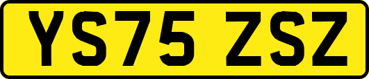 YS75ZSZ