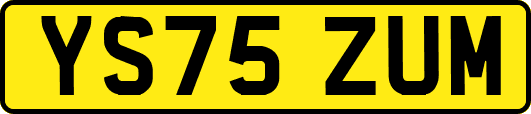 YS75ZUM