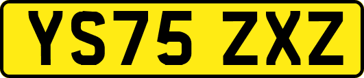 YS75ZXZ