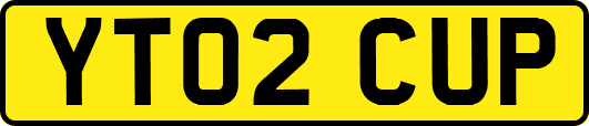 YT02CUP