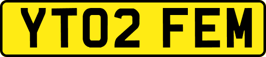 YT02FEM