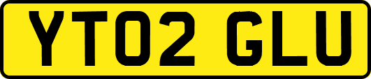 YT02GLU