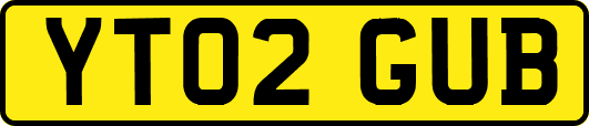 YT02GUB