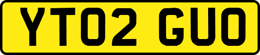YT02GUO