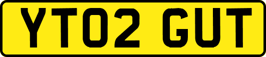 YT02GUT