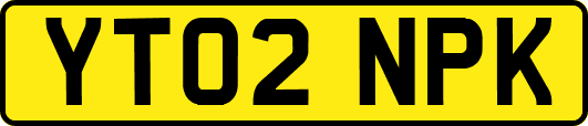 YT02NPK