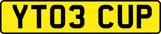 YT03CUP