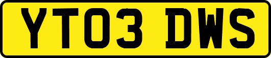 YT03DWS