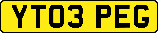 YT03PEG