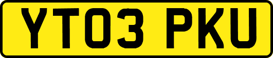 YT03PKU