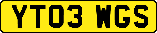 YT03WGS
