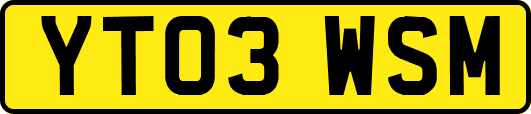 YT03WSM