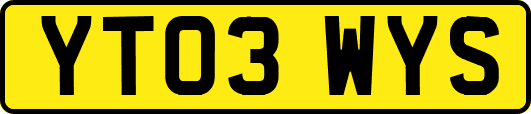 YT03WYS