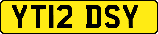 YT12DSY