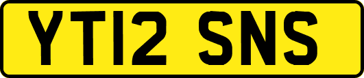 YT12SNS