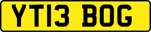 YT13BOG
