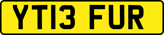 YT13FUR