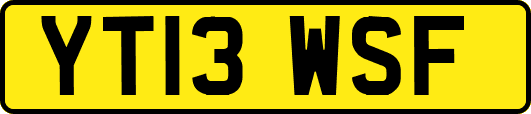 YT13WSF