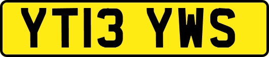 YT13YWS