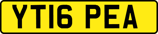 YT16PEA