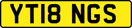 YT18NGS