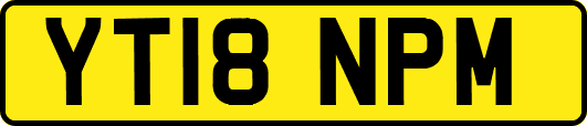YT18NPM