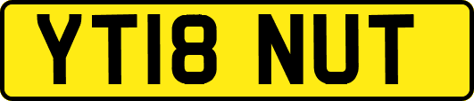 YT18NUT