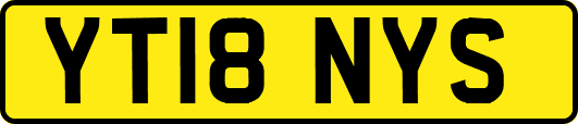 YT18NYS