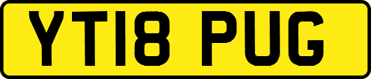 YT18PUG