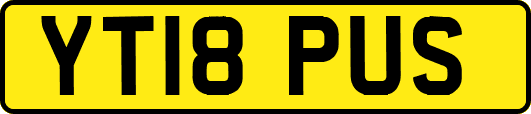 YT18PUS
