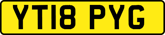 YT18PYG